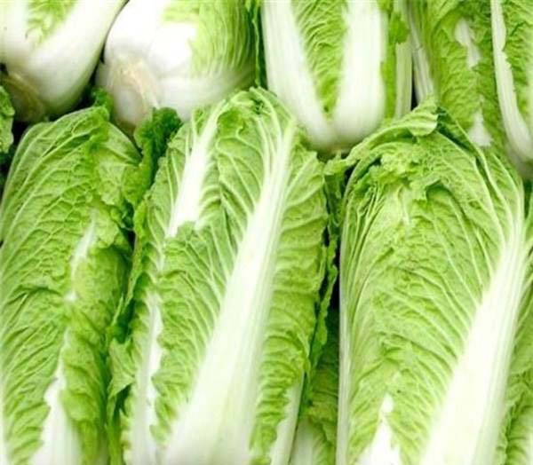 冬天來臨，醋溜白菜好吃，要謹(jǐn)防農(nóng)藥殘留