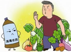 如何正確選擇適合的蔬菜？