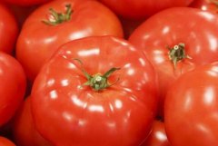 無(wú)毒化農(nóng)藥有可能成為未來(lái)趨勢(shì)嗎？