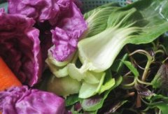 農(nóng)藥殘留速測儀讓消費(fèi)者食用農(nóng)產(chǎn)品更放心